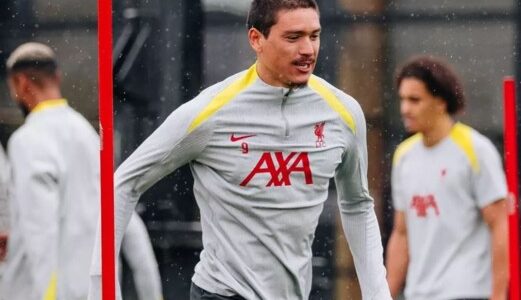 نونيز يثير اهتمام الهلال والنصر بعد انسحاب نابولي من السباق